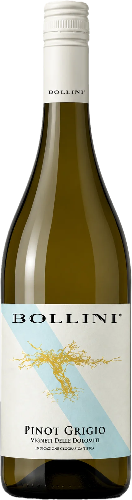 Pinot Grigio