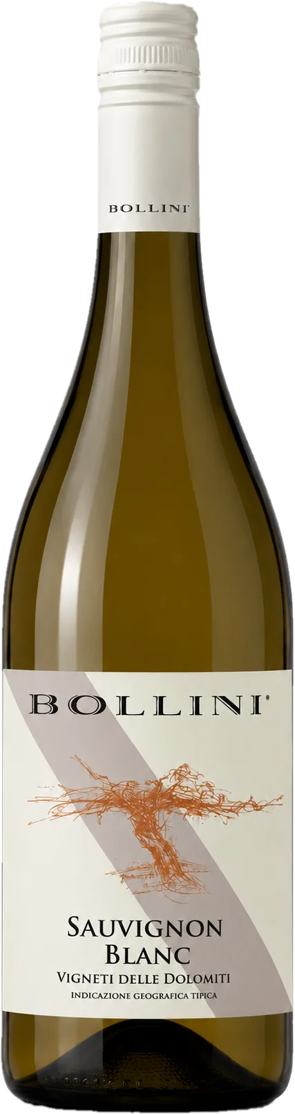Sauvignon